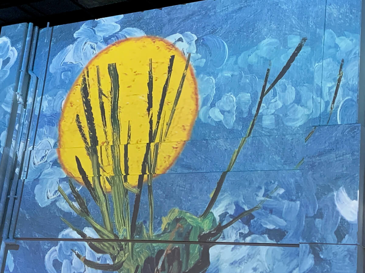 Revista Amar - Immersive Van Gogh - Toronto - Noite estrelada no Toronto Star (8)