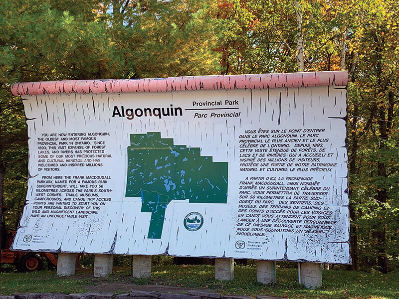 Revista Amar - Canada - Algonquin Park