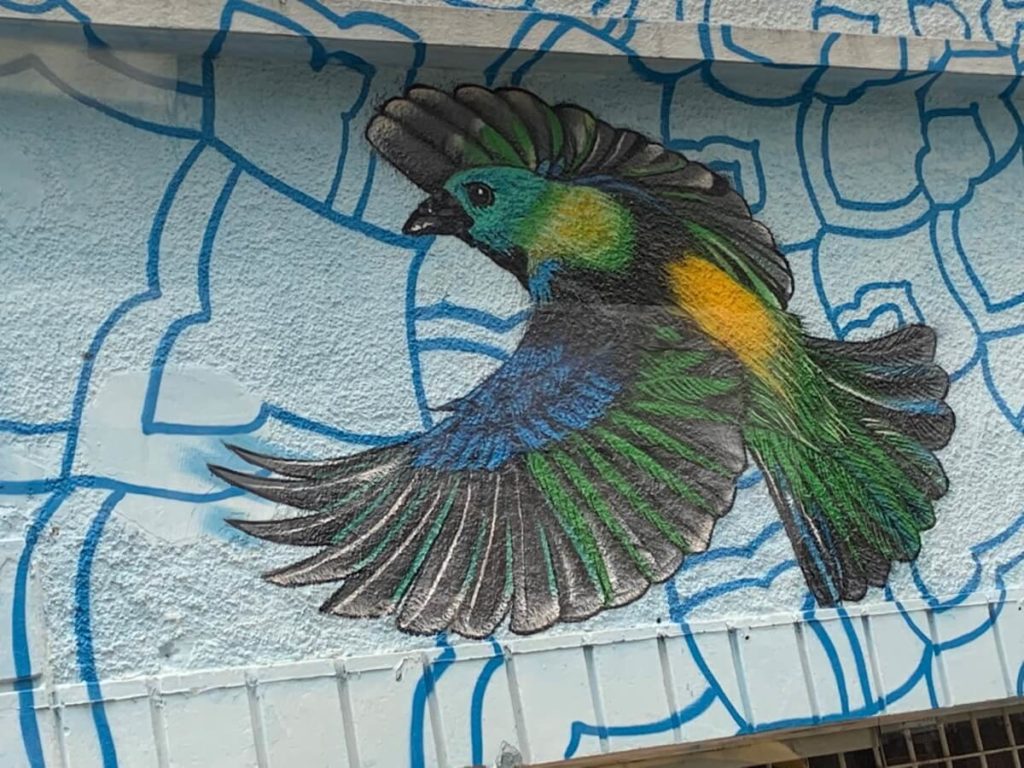 Revista Amar - Manuela Marujo - Arte a ceu aberto  - Tuane Ferreira